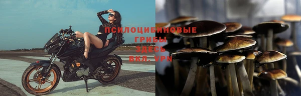 прущие грибы Нея