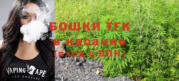 прущие грибы Нея