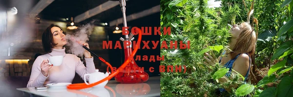 прущие грибы Нея
