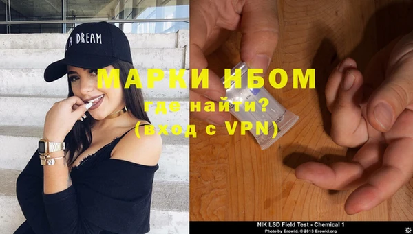 прущие грибы Нея