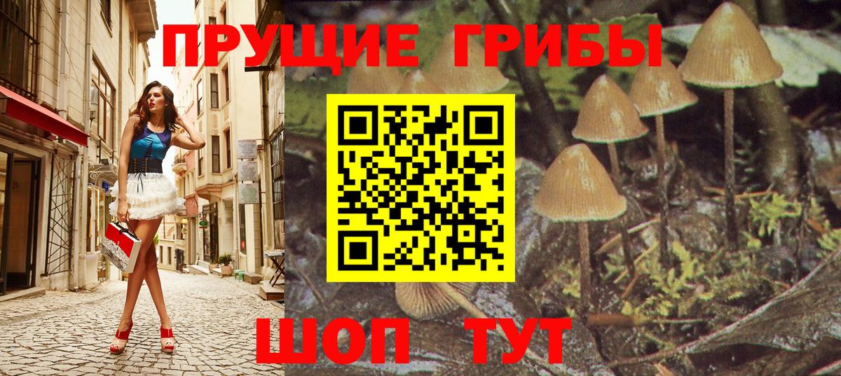 Галлюциногенные грибы прущие грибы Шахты