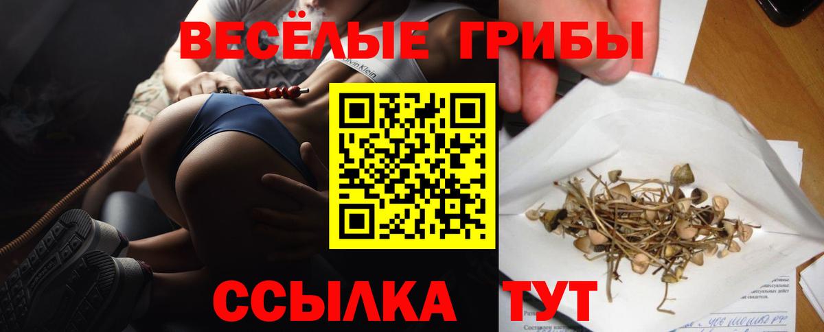 Шахты  Псилоцибиновые грибы Psilocybine cubensis  Вход с VPN 