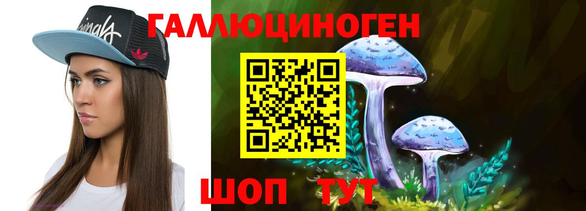 Галлюциногенные грибы Psilocybine cubensis  Галлюциногенные грибы Cubensis  Шахты 